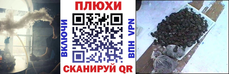 Купить  Камбарка  Гашиш Premium 