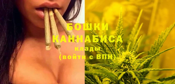 спиды Горнозаводск