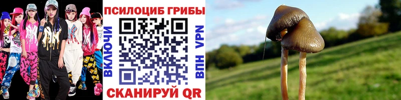 Псилоцибиновые грибы мухоморы  Купить  Камбарка 